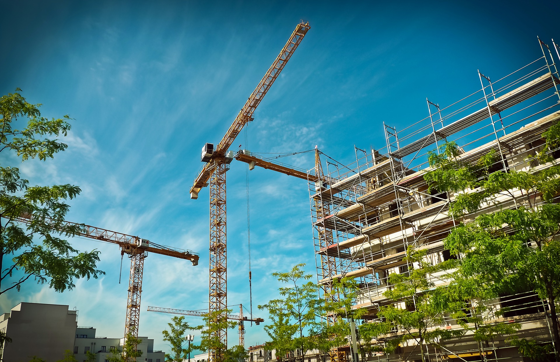 Chantier avec grues